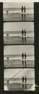 Image of Walrus hunting. Two Eskimos [Inughuit] on pan of ice with line attached to a baby walrus